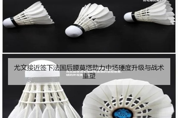 尤文接近签下法国后腰莫塔助力中场硬度升级与战术重塑